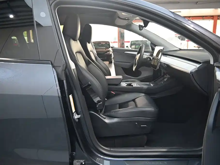 Tesla Model Y — фото 25