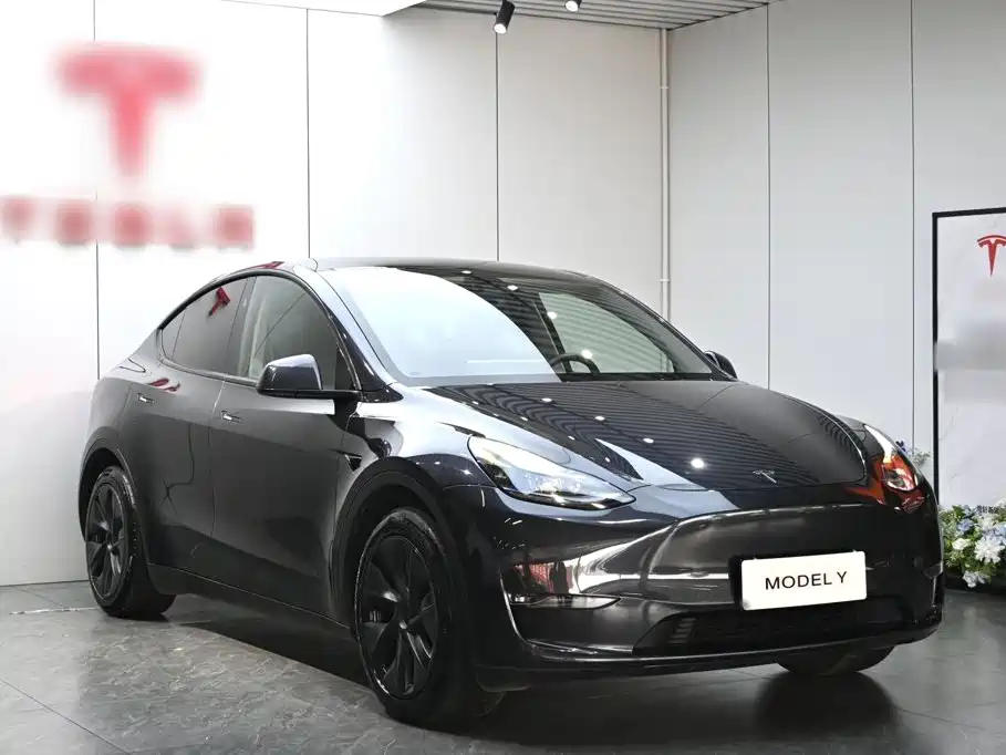 Tesla Model Y — фото 4