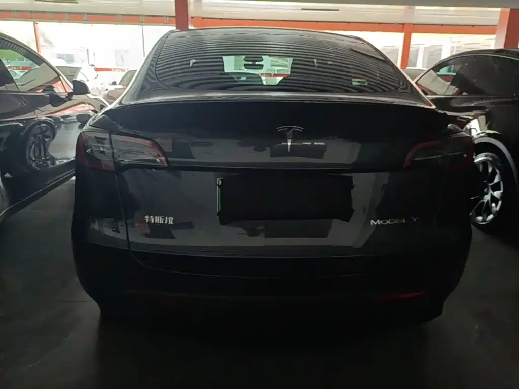 Tesla Model Y — фото 6