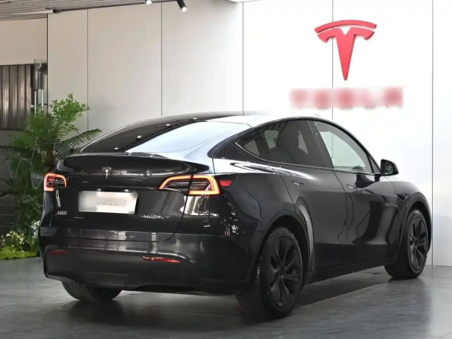 Tesla Model Y — фото 7