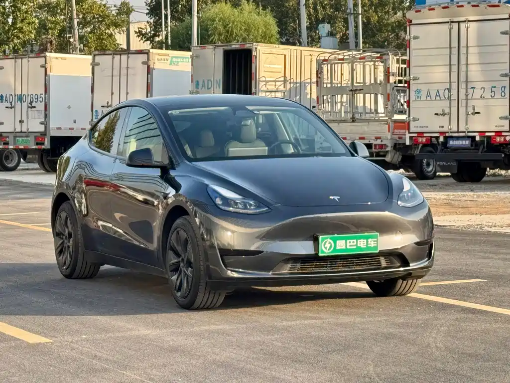 Tesla Model Y — фото 3