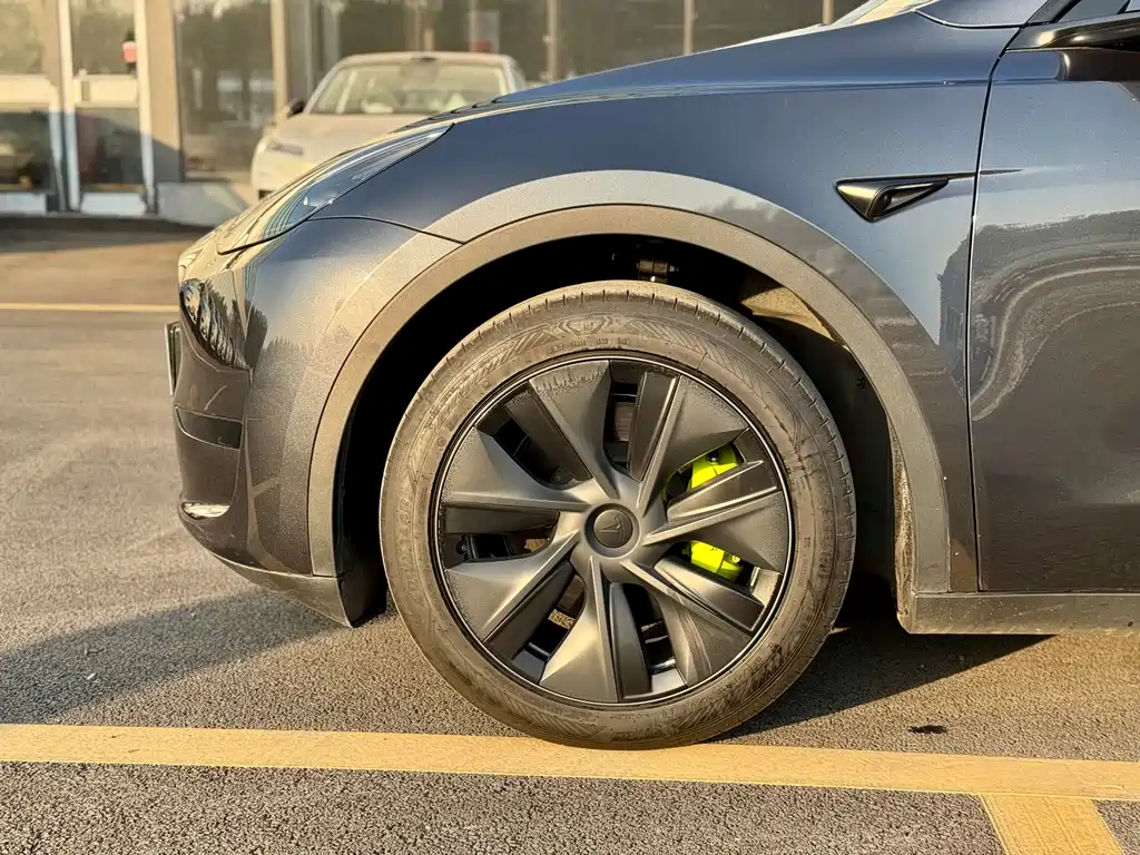 Tesla Model Y — фото 4