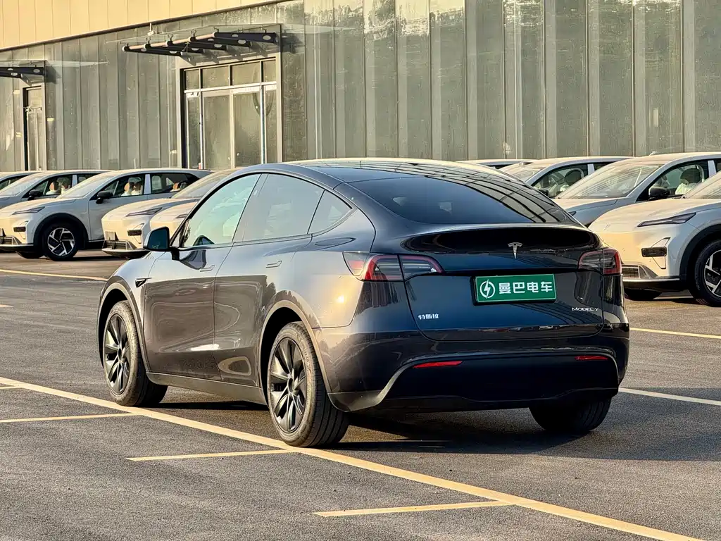 Tesla Model Y — фото 8