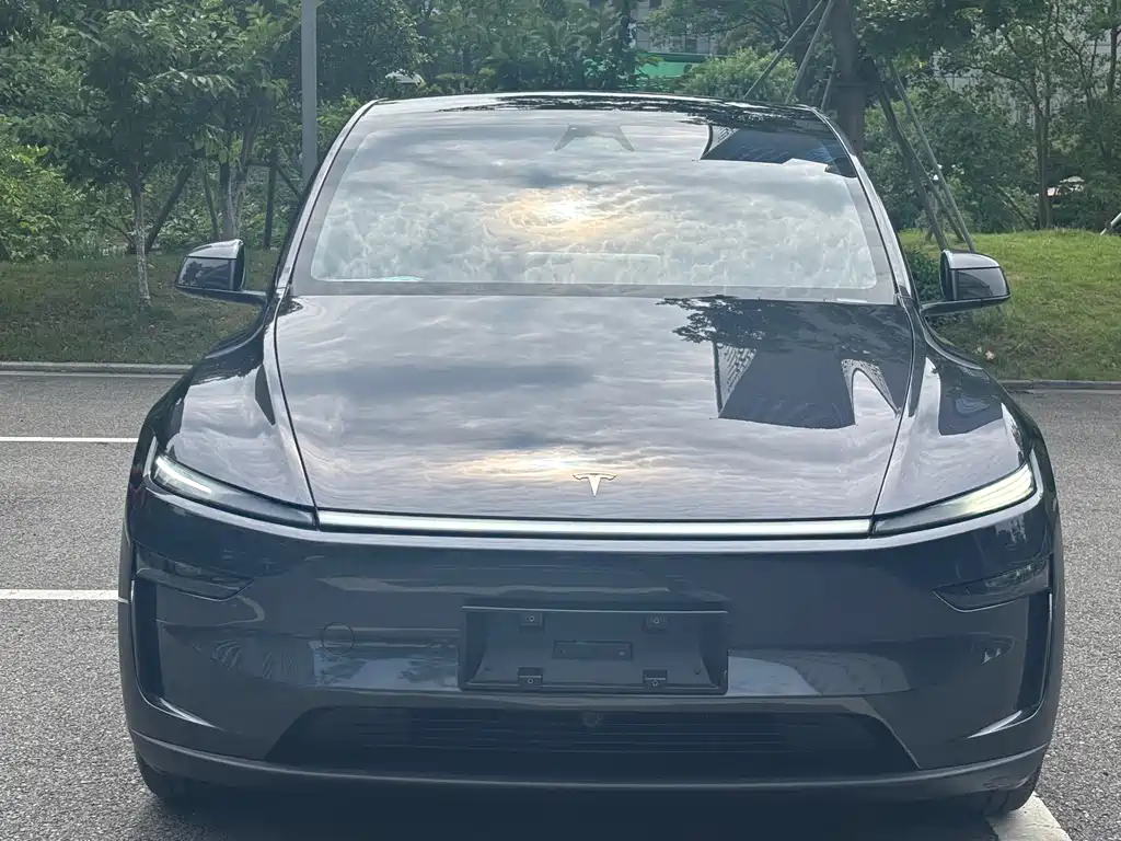 Tesla Model Y — фото 2