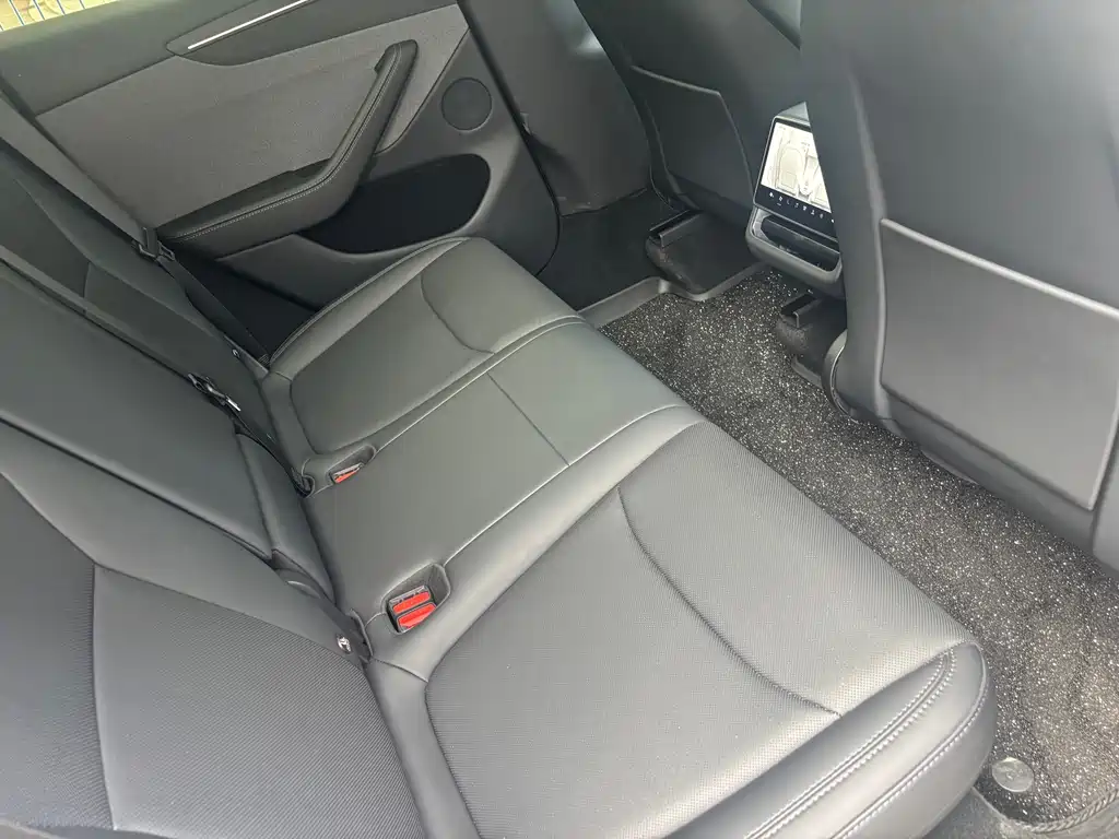 Tesla Model Y — фото 11