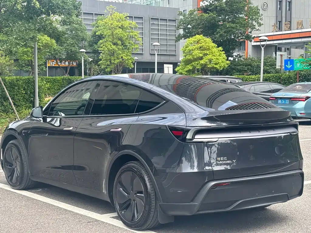 Tesla Model Y — фото 15