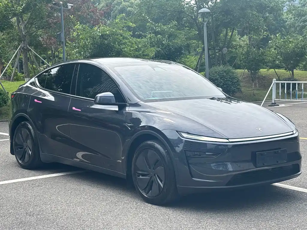 Tesla Model Y — фото 3