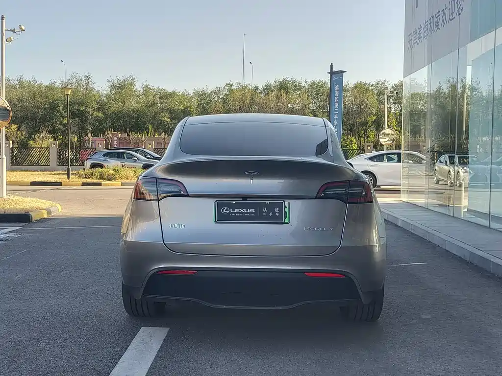 Tesla Model Y — фото 8