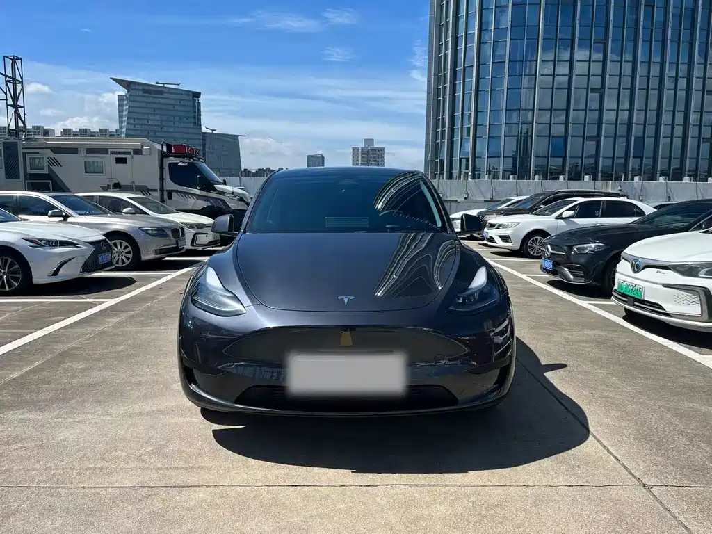 Tesla Model Y — фото 3