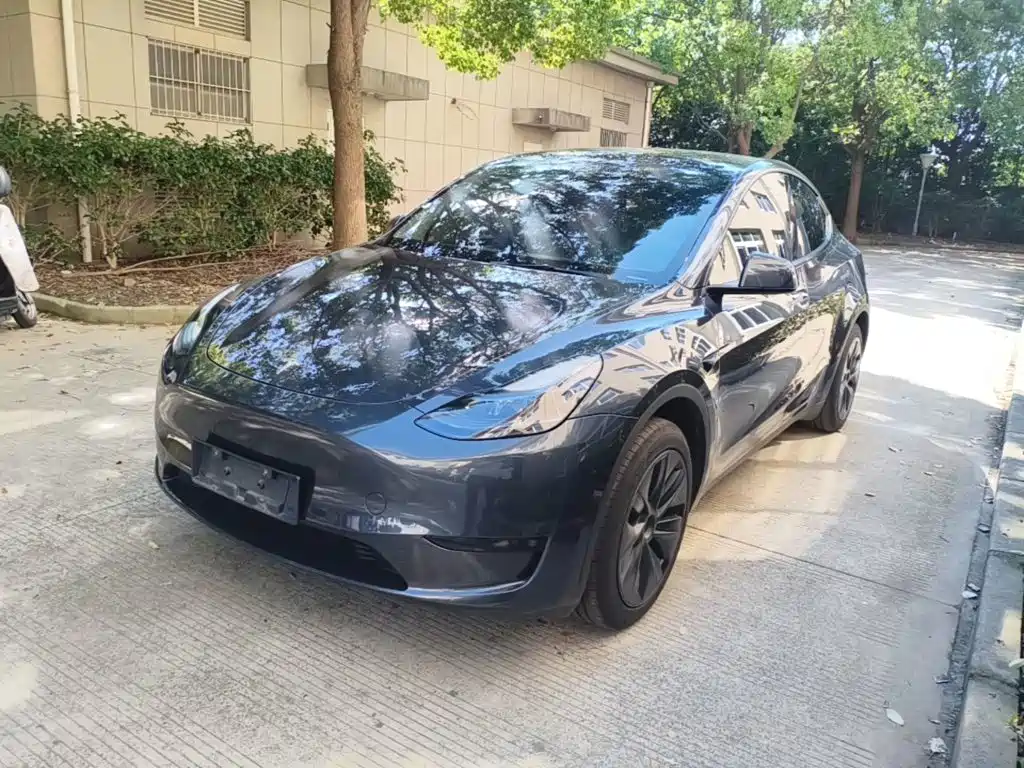 Tesla Model Y — фото 2