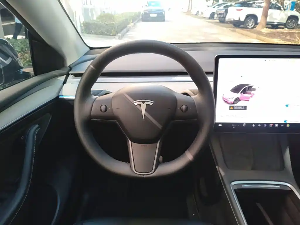 Tesla Model Y — фото 11