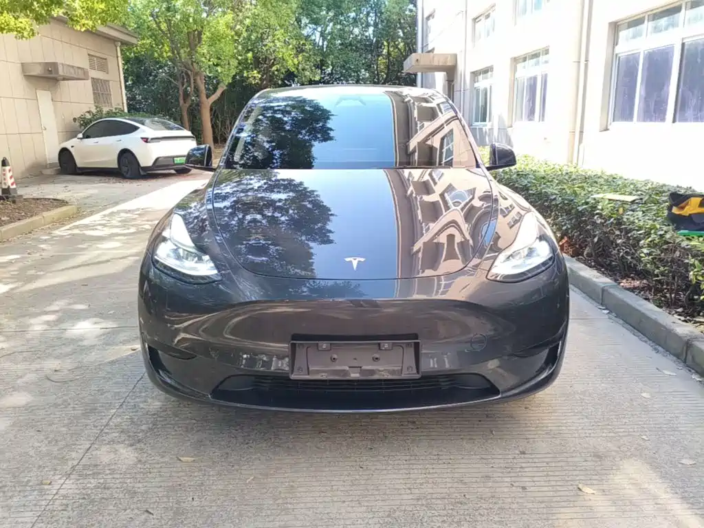 Tesla Model Y — фото 3