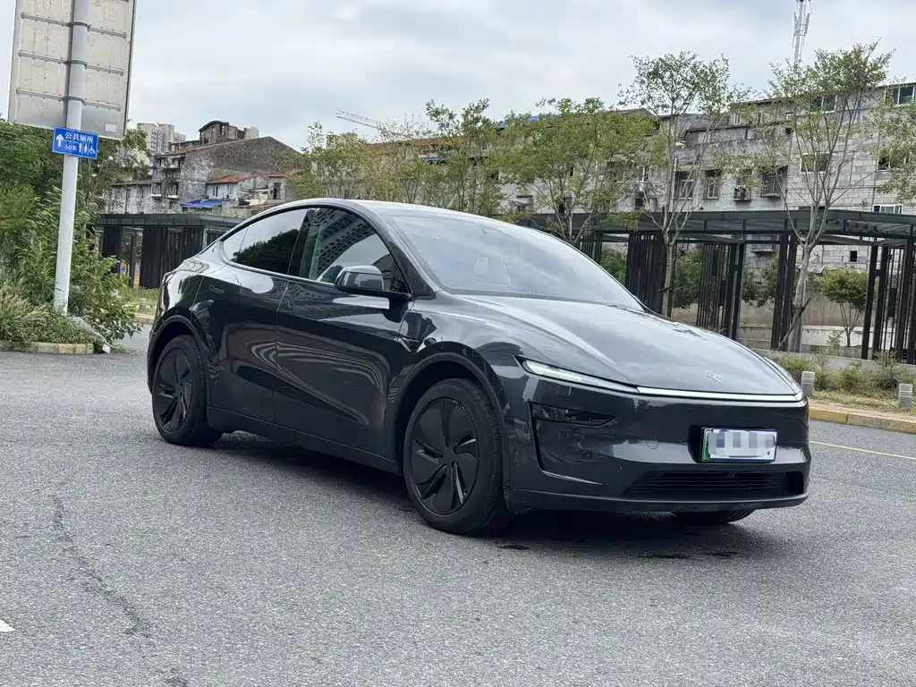 Tesla Model Y — фото 3