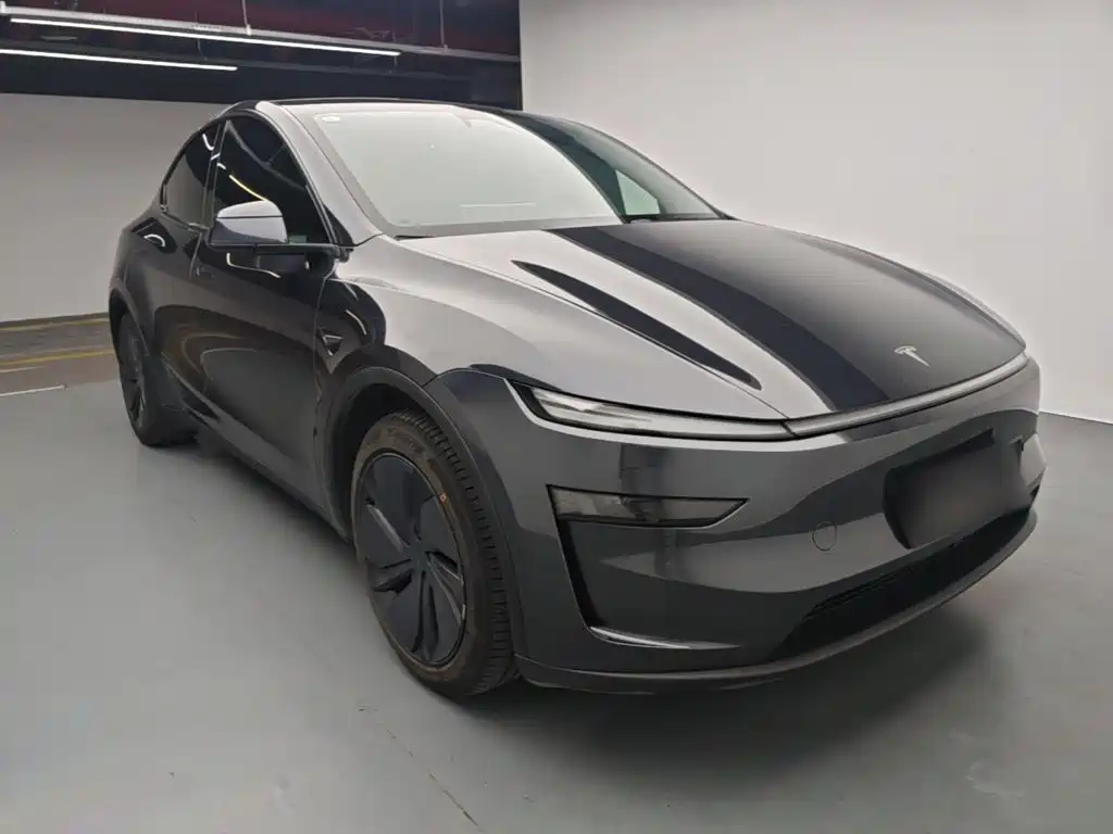 Tesla Model Y — фото 4