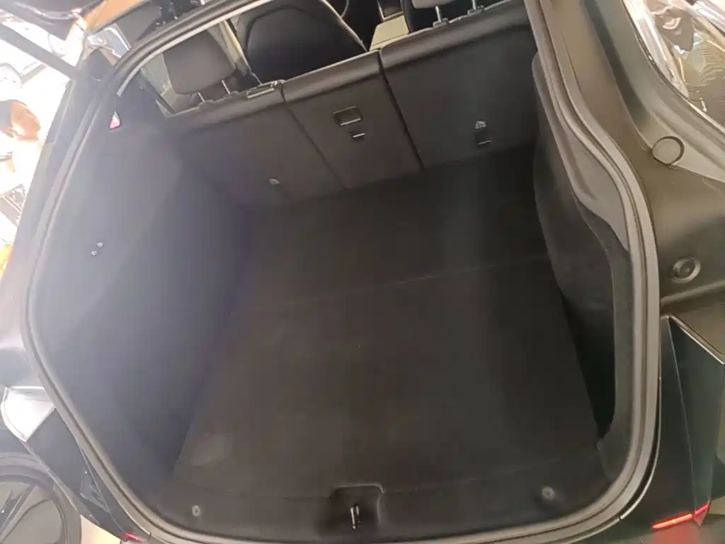 Tesla Model Y — фото 19