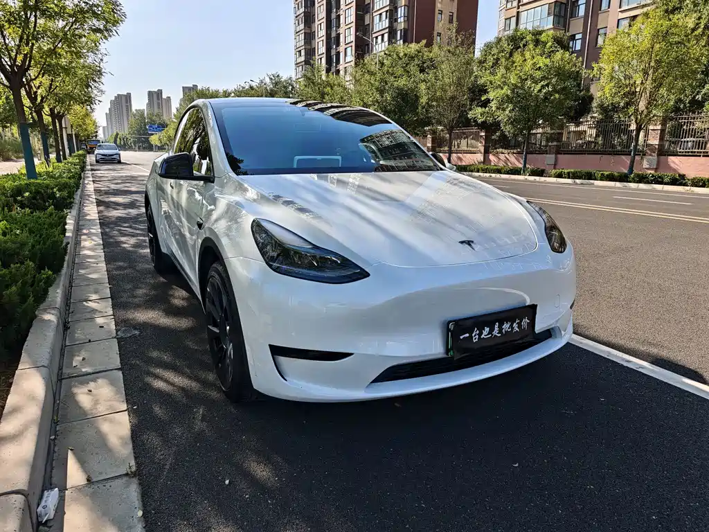 Tesla Model Y — фото 2