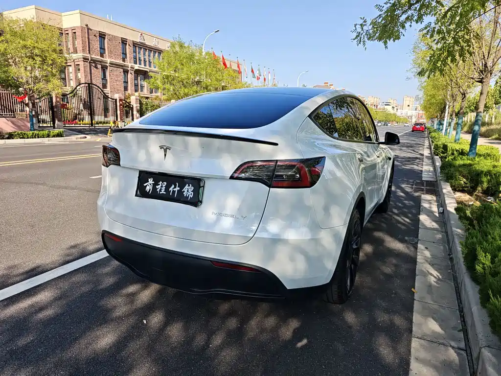 Tesla Model Y — фото 3