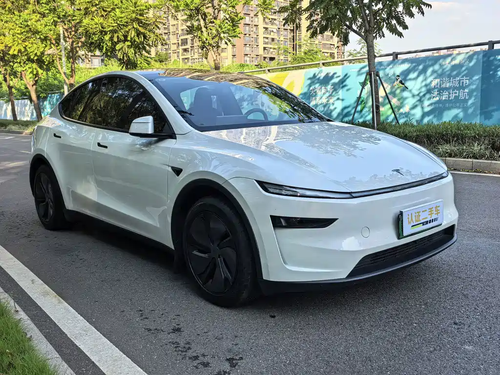 Tesla Model Y — фото 3