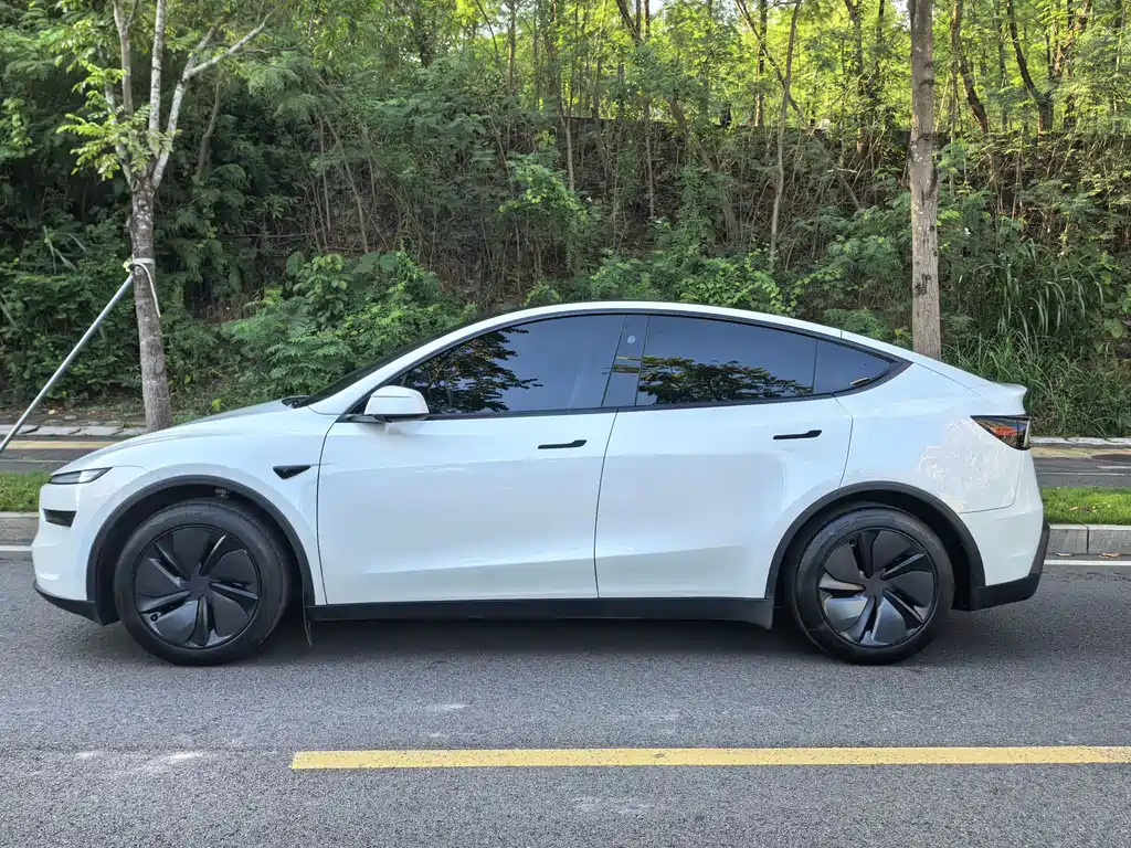 Tesla Model Y — фото 5
