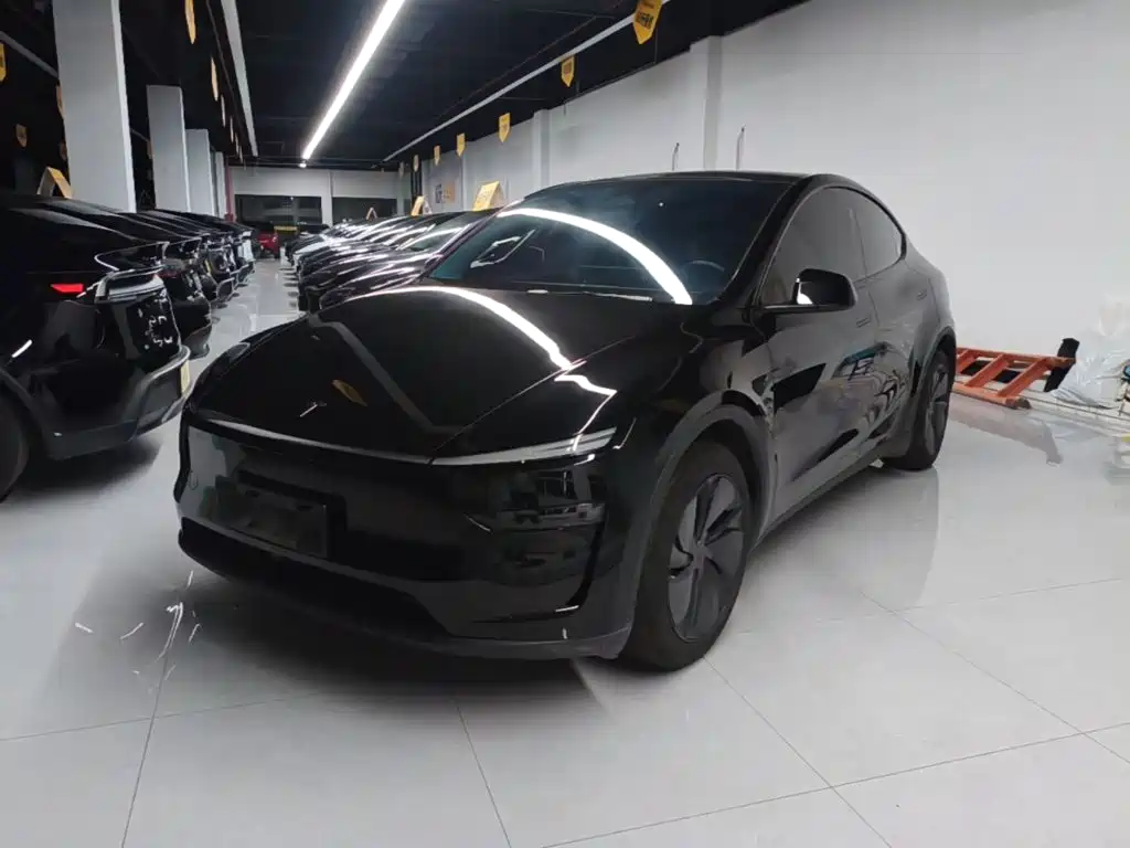 Tesla Model Y — фото 2