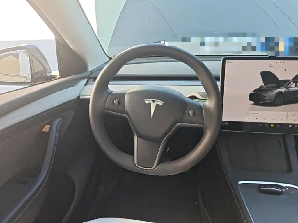 Tesla Model Y — фото 15