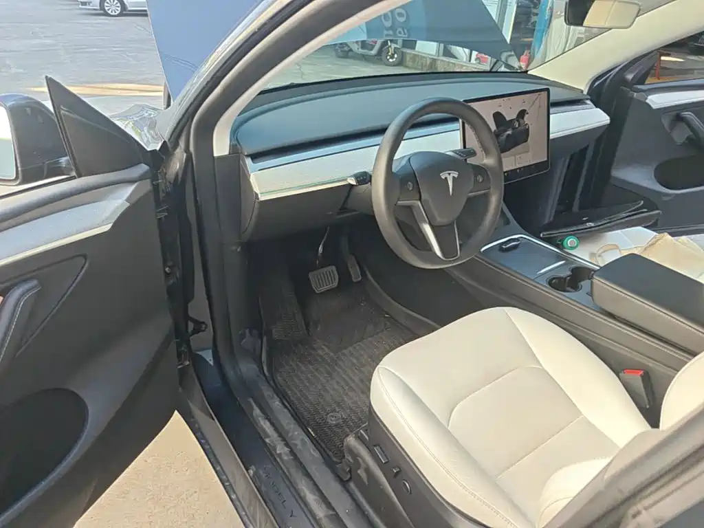 Tesla Model Y — фото 21