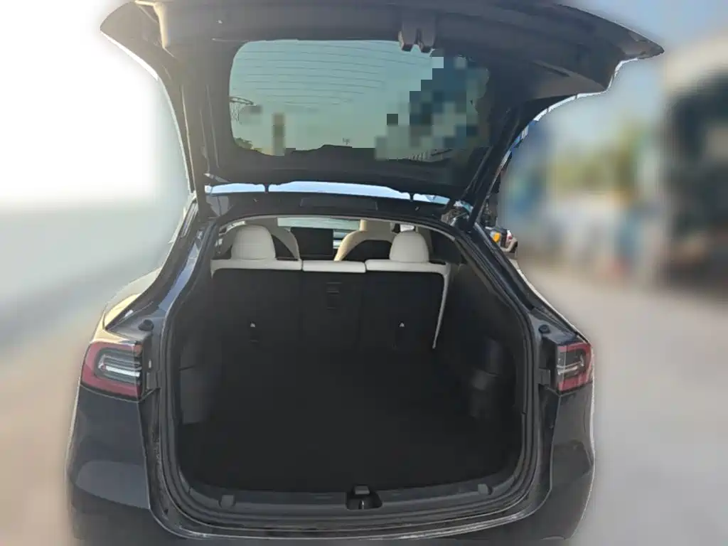 Tesla Model Y — фото 24