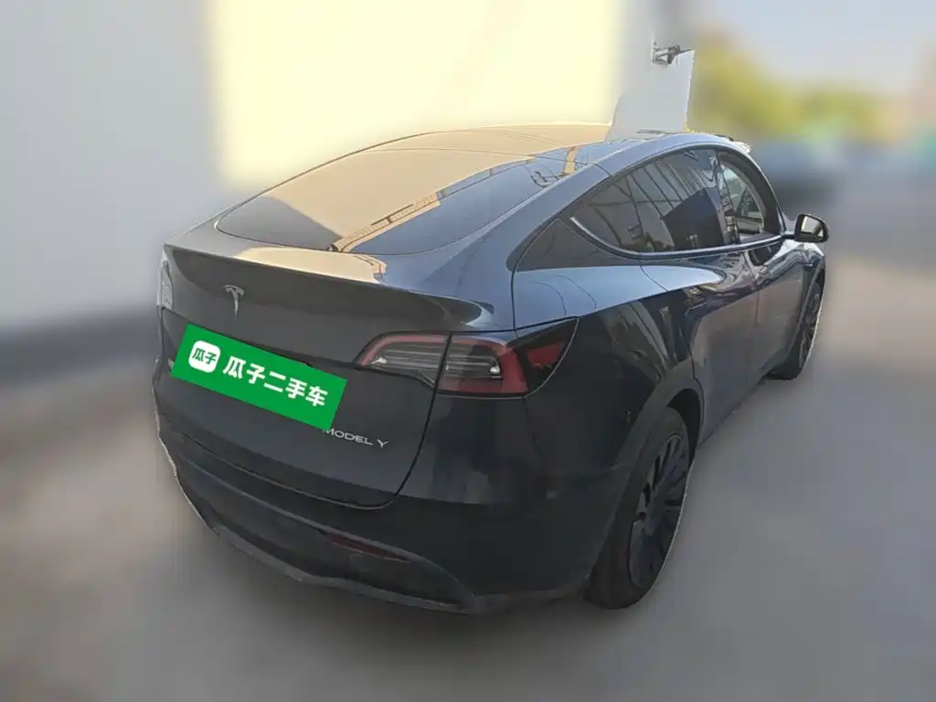 Tesla Model Y — фото 10