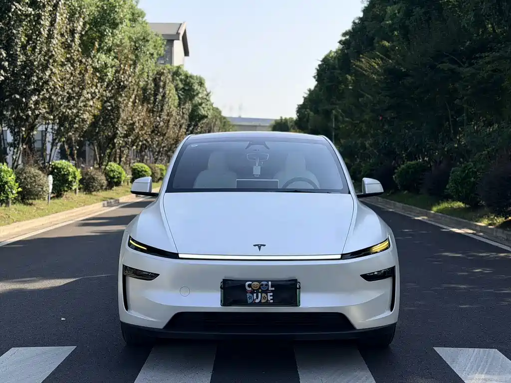 Tesla Model Y — фото 2