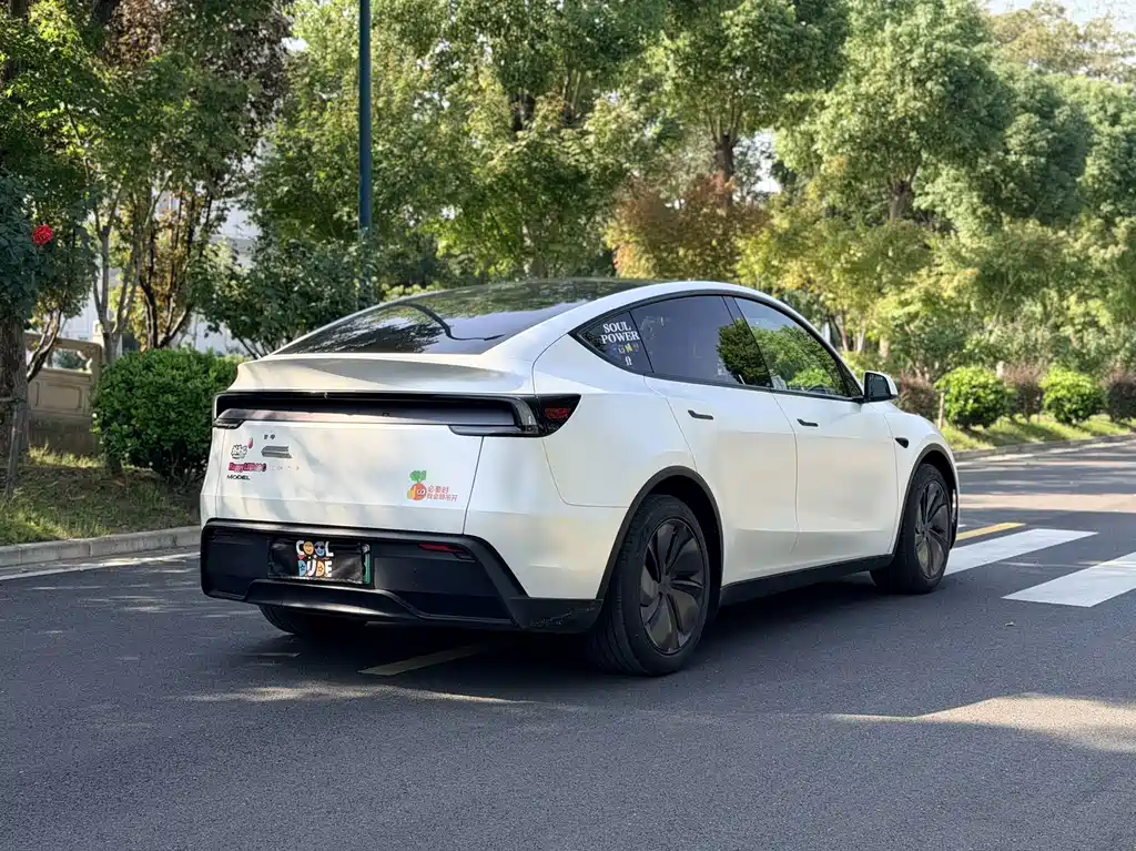 Tesla Model Y — фото 4