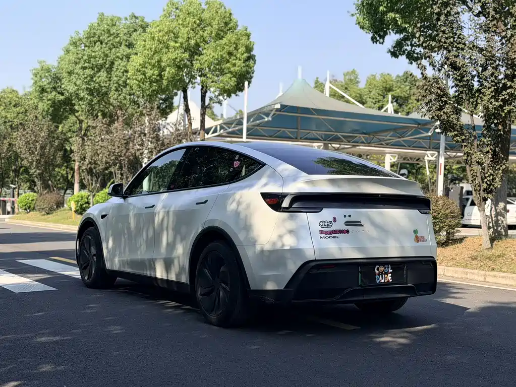 Tesla Model Y — фото 6
