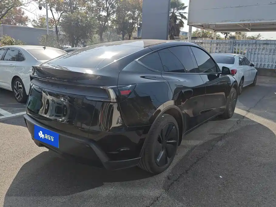 Tesla Model Y — фото 3