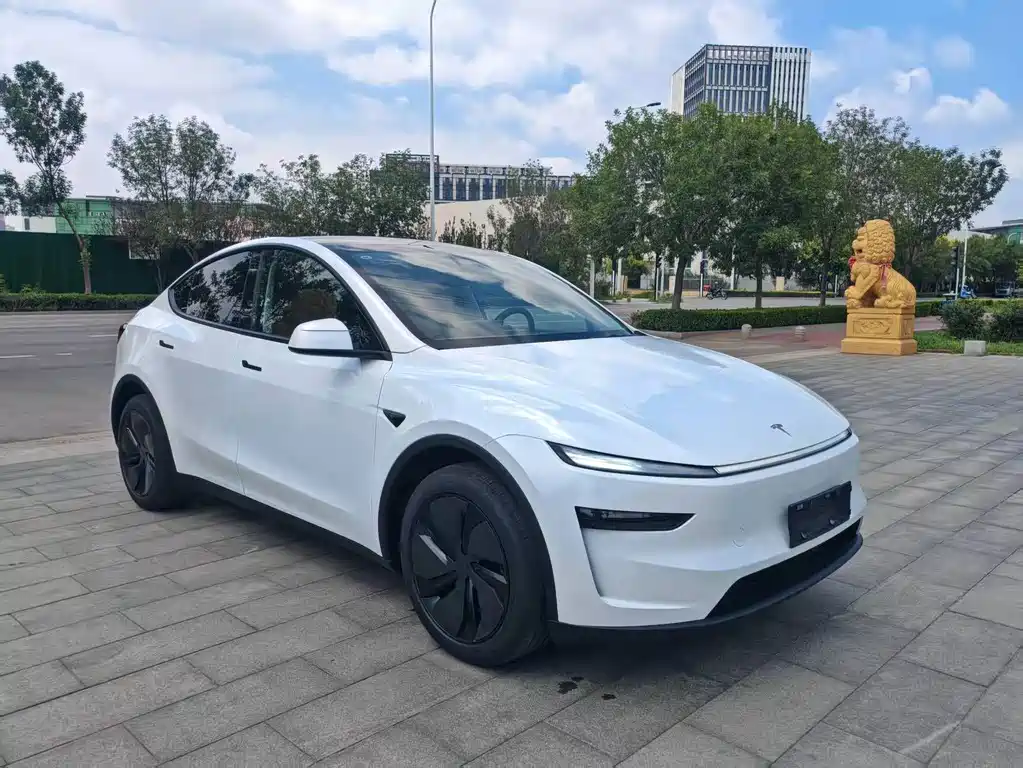 Tesla Model Y — фото 3