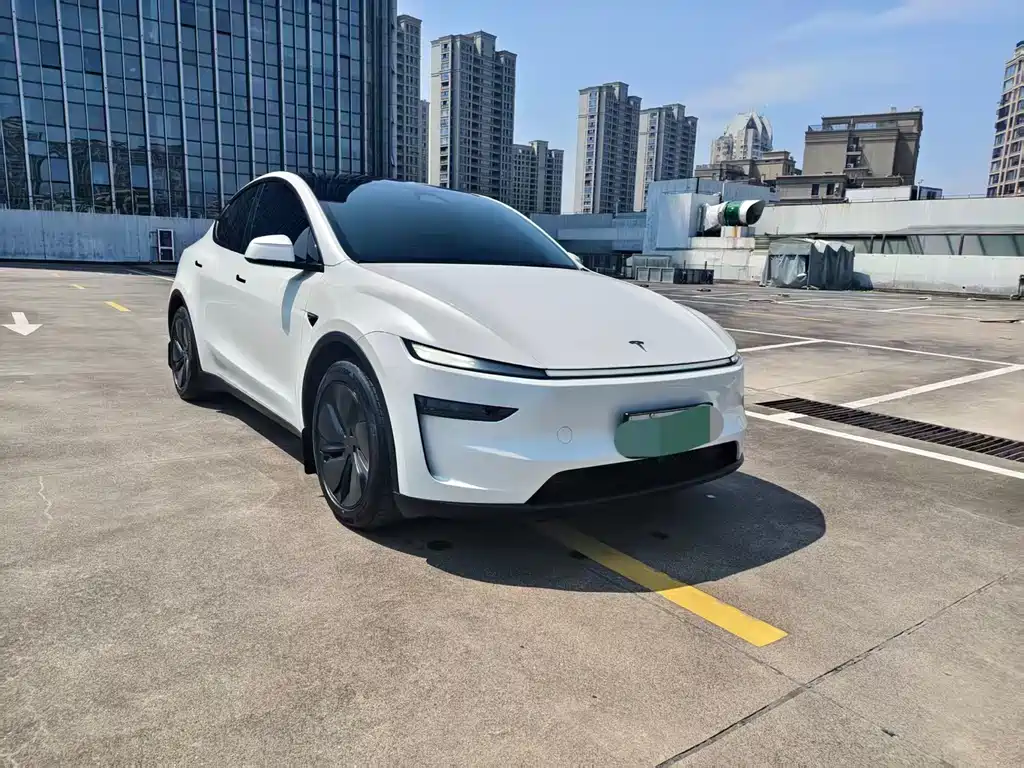 Tesla Model Y — фото 3