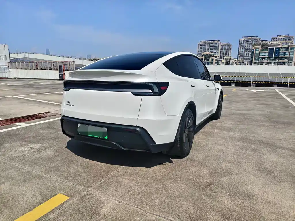 Tesla Model Y — фото 9