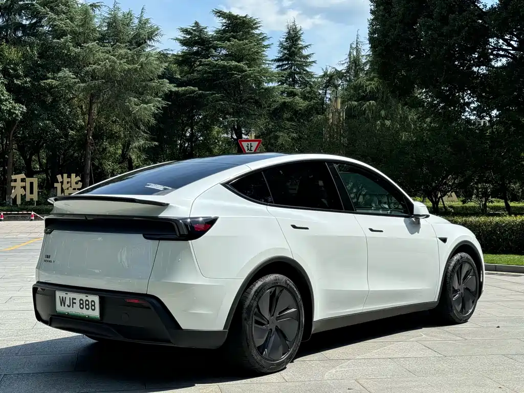Tesla Model Y — фото 2