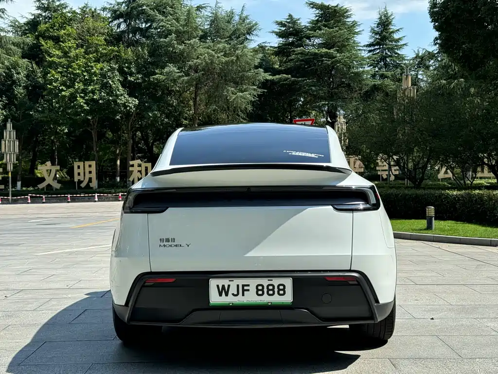 Tesla Model Y — фото 3