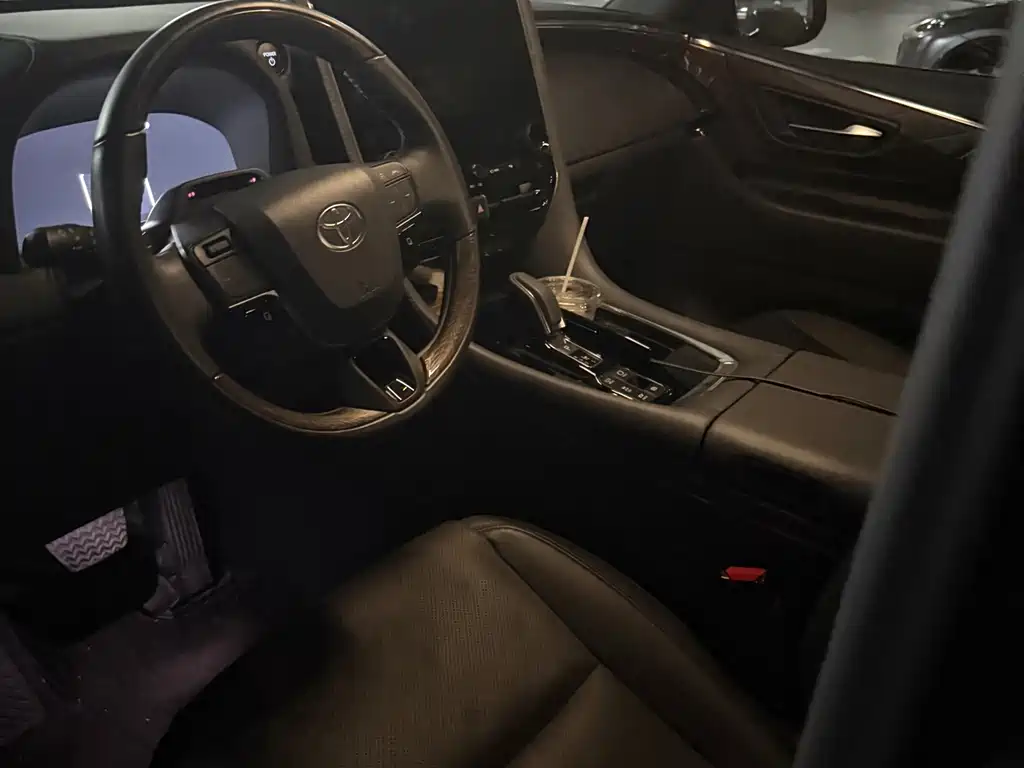 Toyota Alphard — фото 9