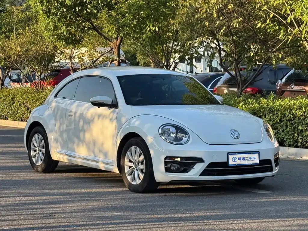 Volkswagen Beetle — фото 22