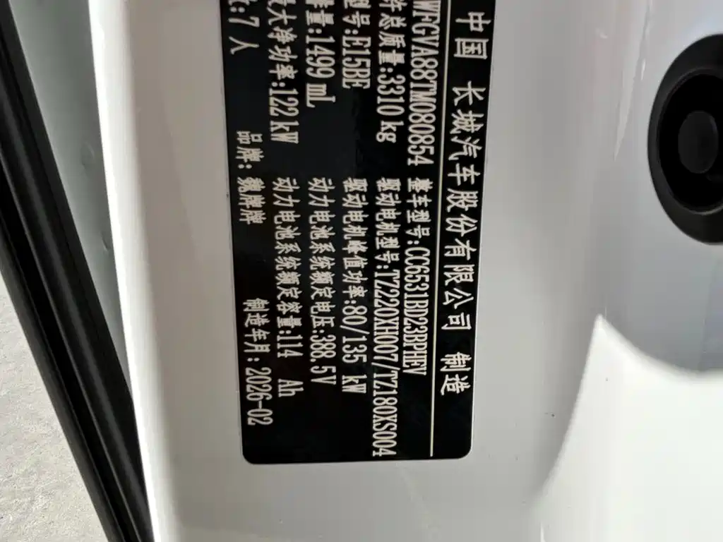 Wey Wey Gaoshan New Energy — фото 23