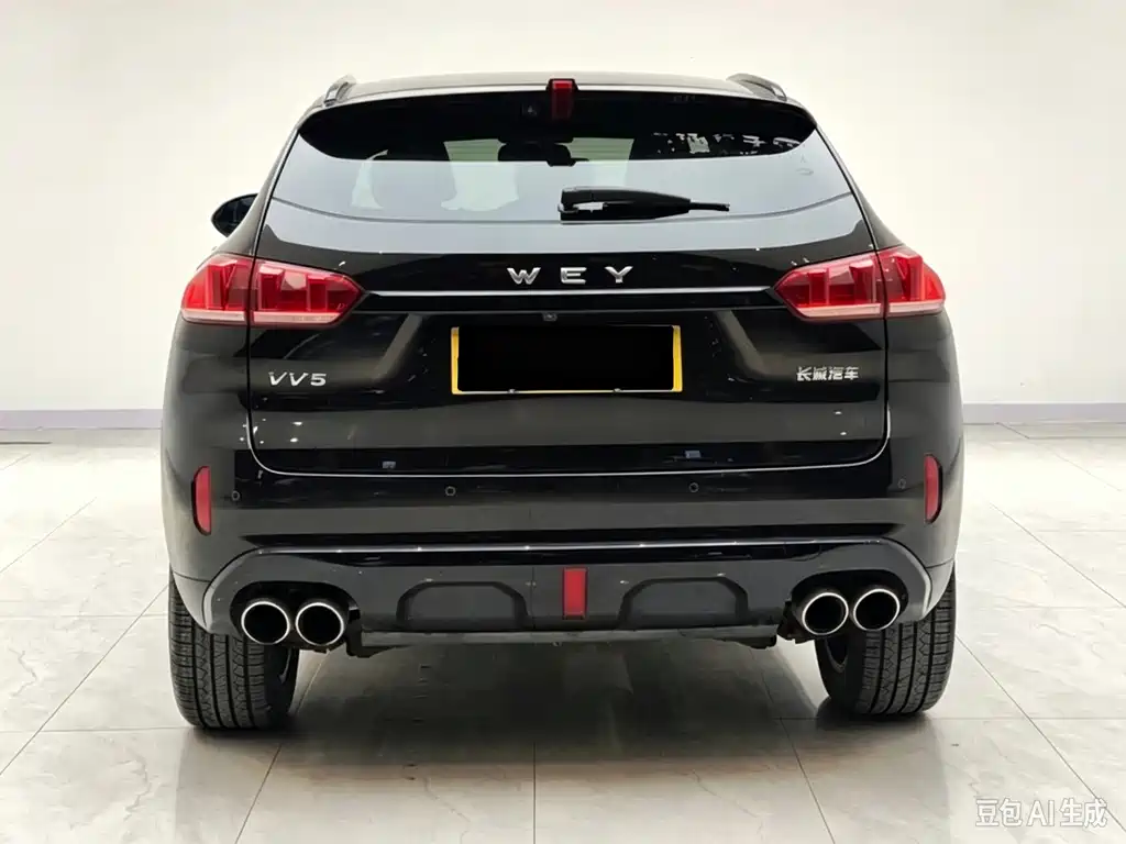 Wey Wey VV5 — фото 6