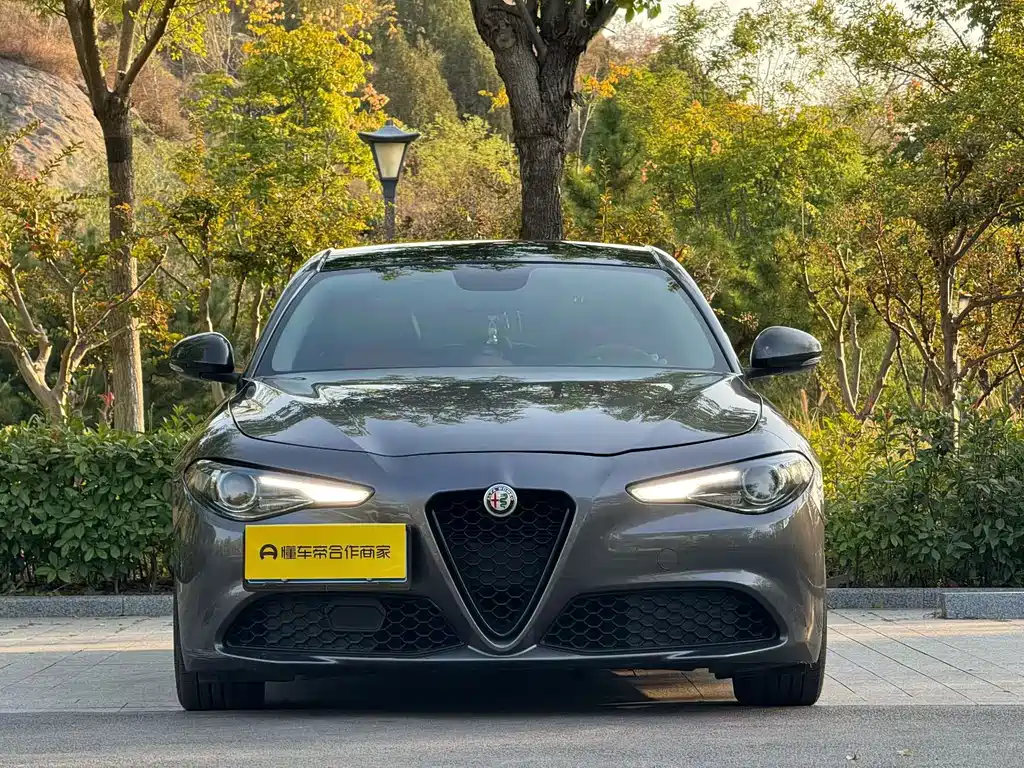 Alfa Romeo Giulia — фото 2