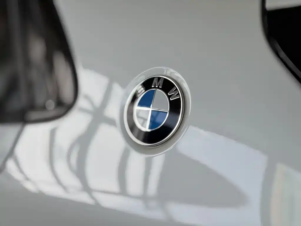 BMW X2 — фото 10