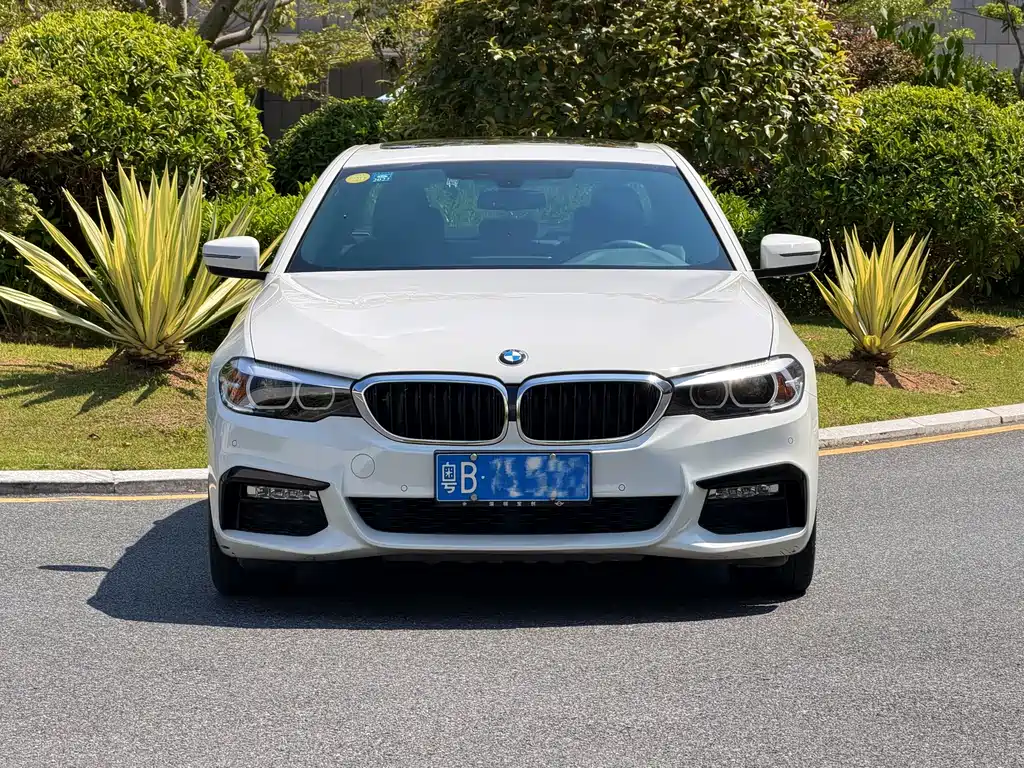 BMW 5 Series (Import) — фото 2