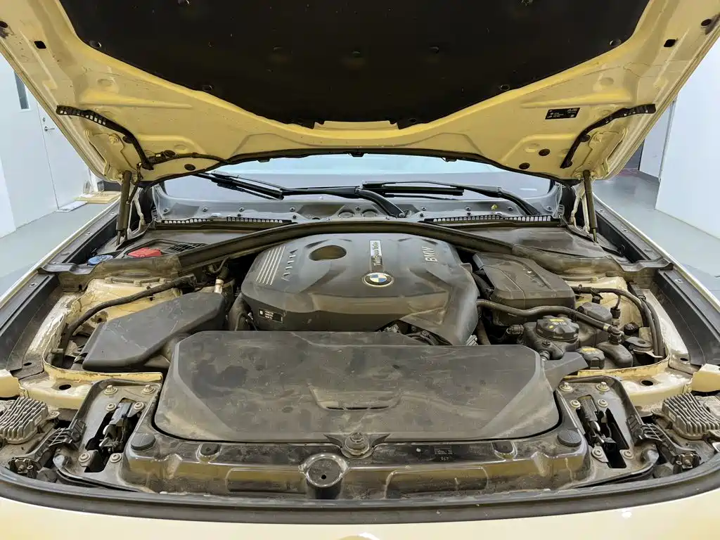 BMW 3 Series GT — фото 10