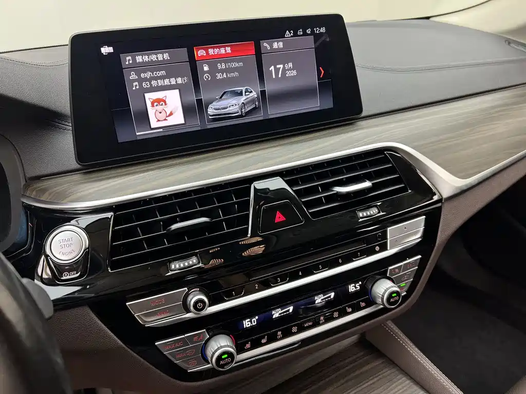 BMW 5 Series — фото 10