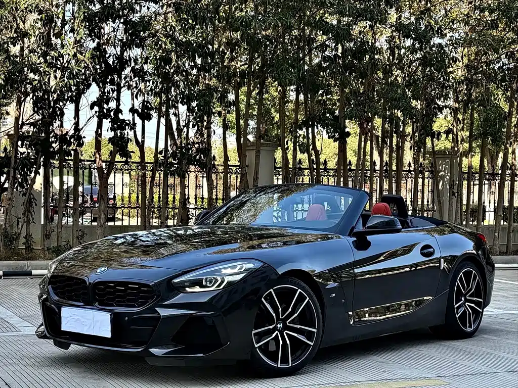 BMW Z4 — фото 15