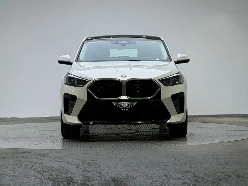BMW X2 (Import) — фото 2