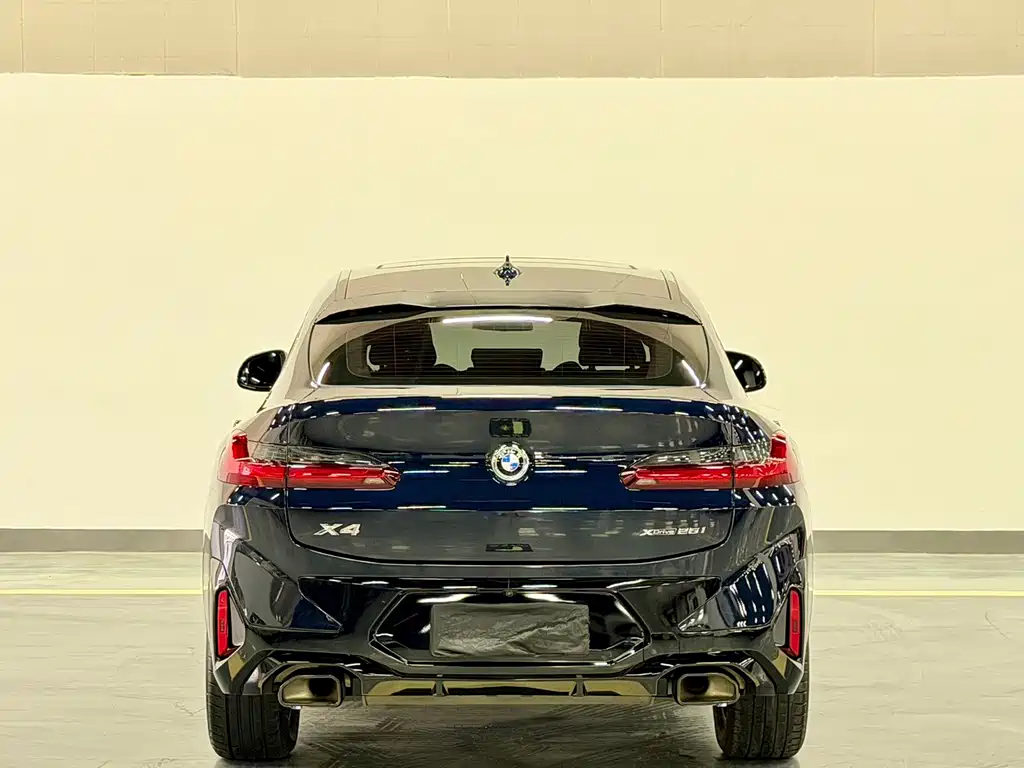 BMW X4 — фото 10