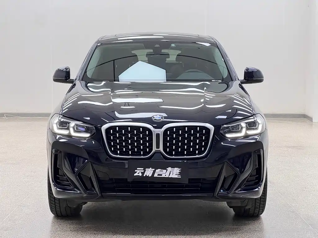 BMW X4 — фото 2